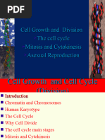 Cell Cycle and Mitosis