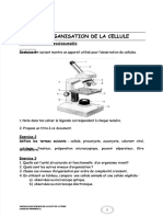 Organisation de La Cellule