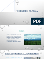 Mediul Forestier Rece Alaska