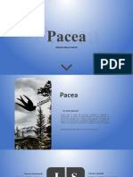 Pacea