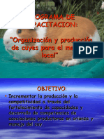 Programa de Capacitacion en La Crianza de Cuyes