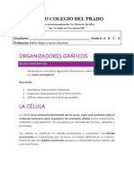 Taller de Organizadores Gráficos