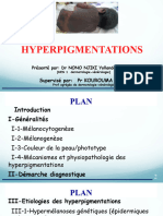Hyperpigmentations Correction 2 DR NONo DES 1.pot