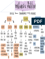 Adminustración Publica