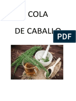 Cola de Caballo