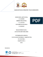 Informe de Máquinas de Polos Alternantes y Consecuentes-1