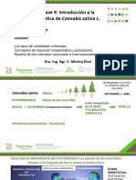 Clase 5 de Diciembre 2023 M. Ricci Genetica Cannabis Parte II