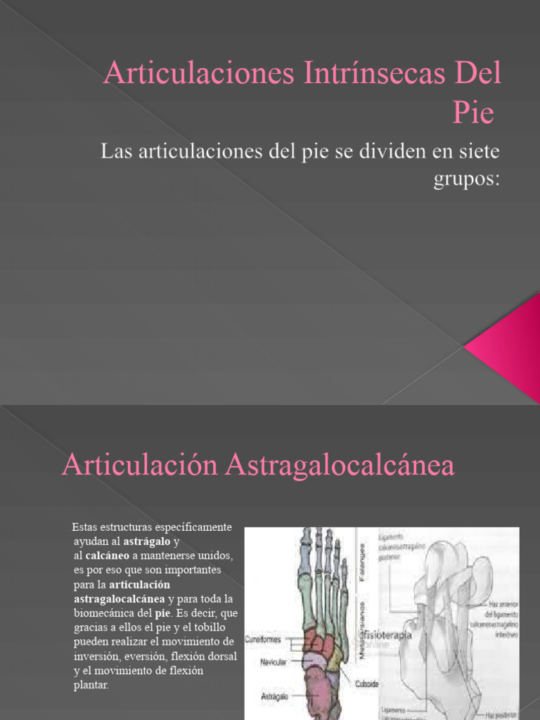 Articulaciones Intrínsecas Del Pie | PDF