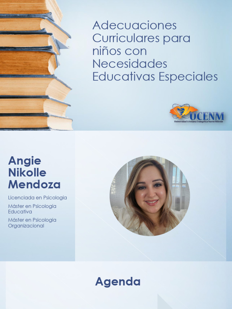 Adecuaciones Curriculares para NEE | PDF | Plan de estudios | Aprendizaje