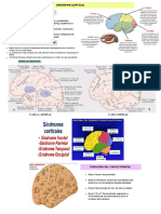 Semiología Neurológica-Imprimir