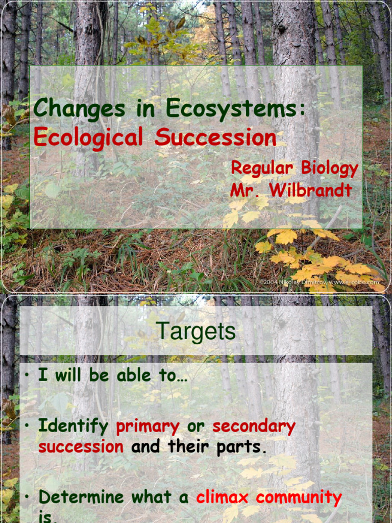 Biology Students' Guide to Succession | PDF