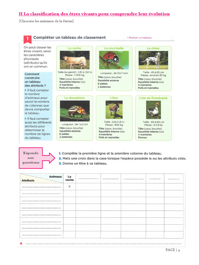 Classification des êtres vivants en 6ème | PDF | Espèces | Biologie