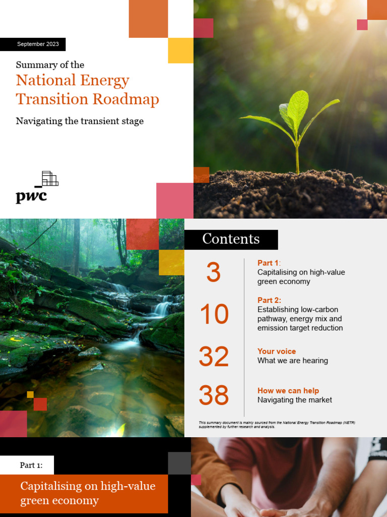 Summary of NETR 1696938078 | PDF | Low Carbon Economy | Renewable Energy