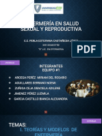 Enfermería en Salud Sexual Y Reproductiva Enfermería en Salud Sexual Y Reproductiva Enfermería en Salud Sexual Y Reproductiva