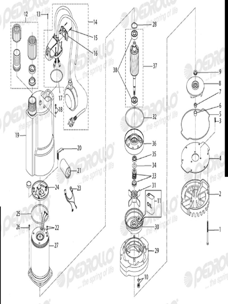 Pedrollo top 5 despiece pdf