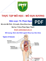 Thực tập Mô học - Mô sụn xương - 1