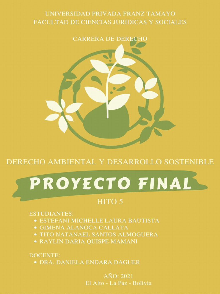 Proyecto de Reciclaje en El Alto | PDF | Residuos | Reciclaje