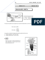 2DO. Año - BIOL - Guía 5 - Organología Vegetal