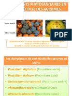 Traitements Phytosanitaires en Post-Récolte Des Agrumes