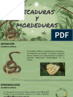 1.0 Picaduras y Mordeduras