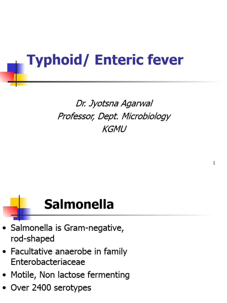 Salmonella Lecture Pdf Salmonella Foodborne Illness