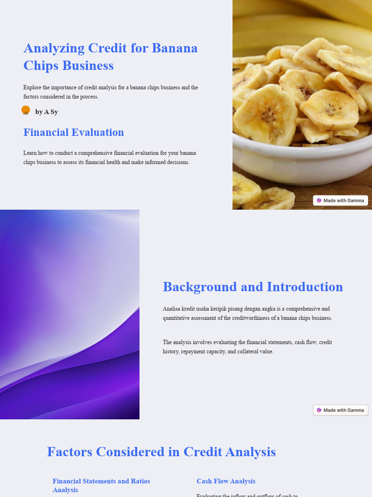 Analyzing Credit For Banana Chips Business PDF Finance & Money Management Credit