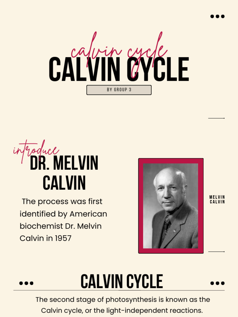 Last Minute Changes Everything You Need To Know About The Calvin Calendar - zxo267r
