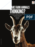 What Are Farm Animals Thinking ?