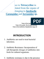 Resistance To Tetracycline in Acteria Isolated From The Organs of Fishes Belonging To Sardinella