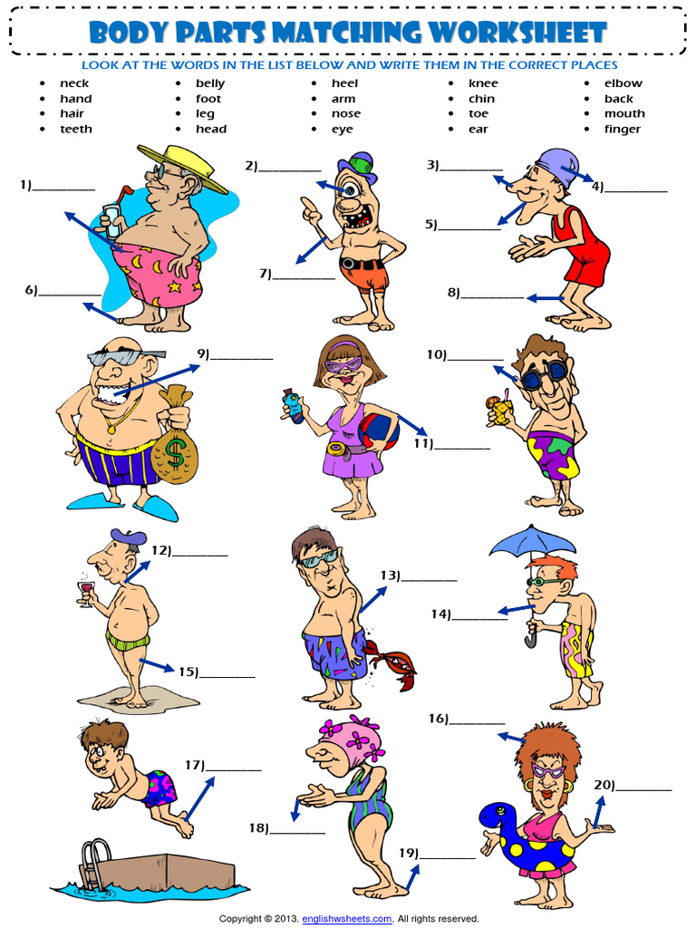 Body parts matching exercise vocabulary worksheet pdf foot hand