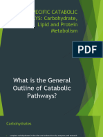 Specific Catabolic Pathways