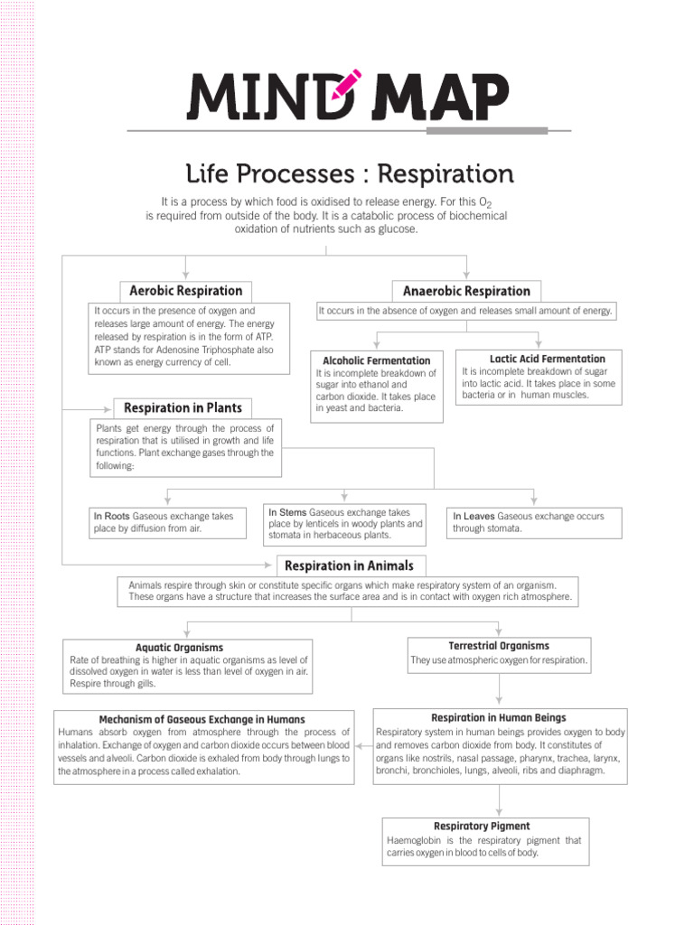 All-in-One-SCIENCE_10_Mid-Map_Ch-5b | PDF | Respiratory System ...
