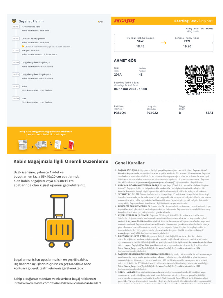 Pegasus Check In PDF