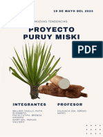 Proyecto Purum Misk'y