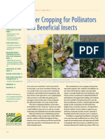 Cover Cropping For Pollinators and Beneficial Insects