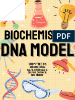 DNA Model