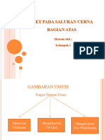 Diet Pada Saluran Cerna Bagian Atas