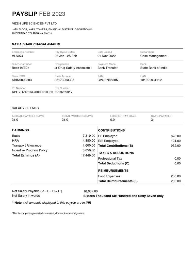 Payslip Feb 2023 Pdf Salary Money