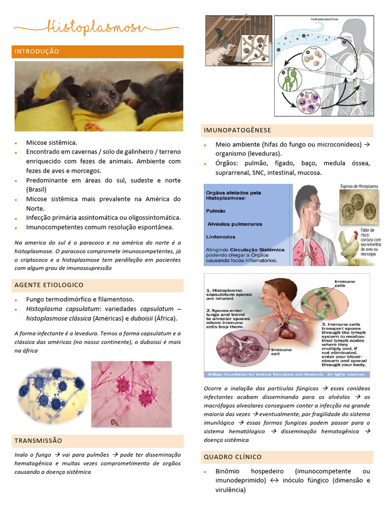 Histoplasmose Brait PDF | PDF | Imunologia | Microbiologia
