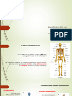 6 Lazione - La Classificazione Delle Ossa