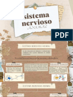Sistema Nervioso-9621701827082