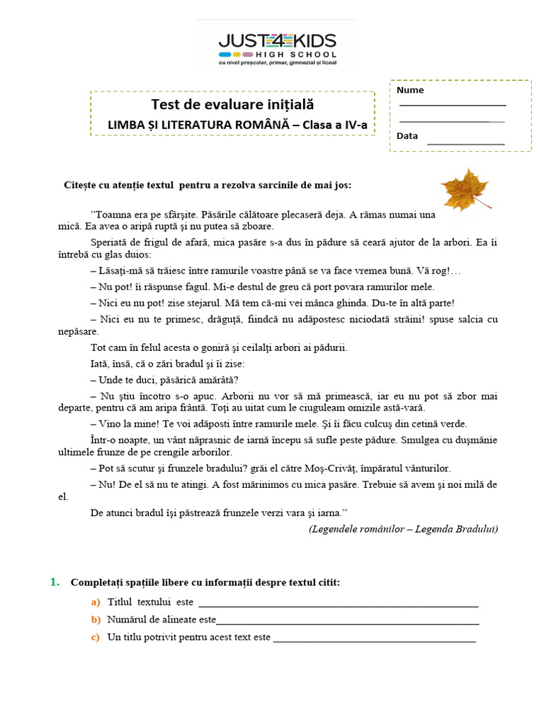 Test de Evaluare Initiala - LLR | PDF