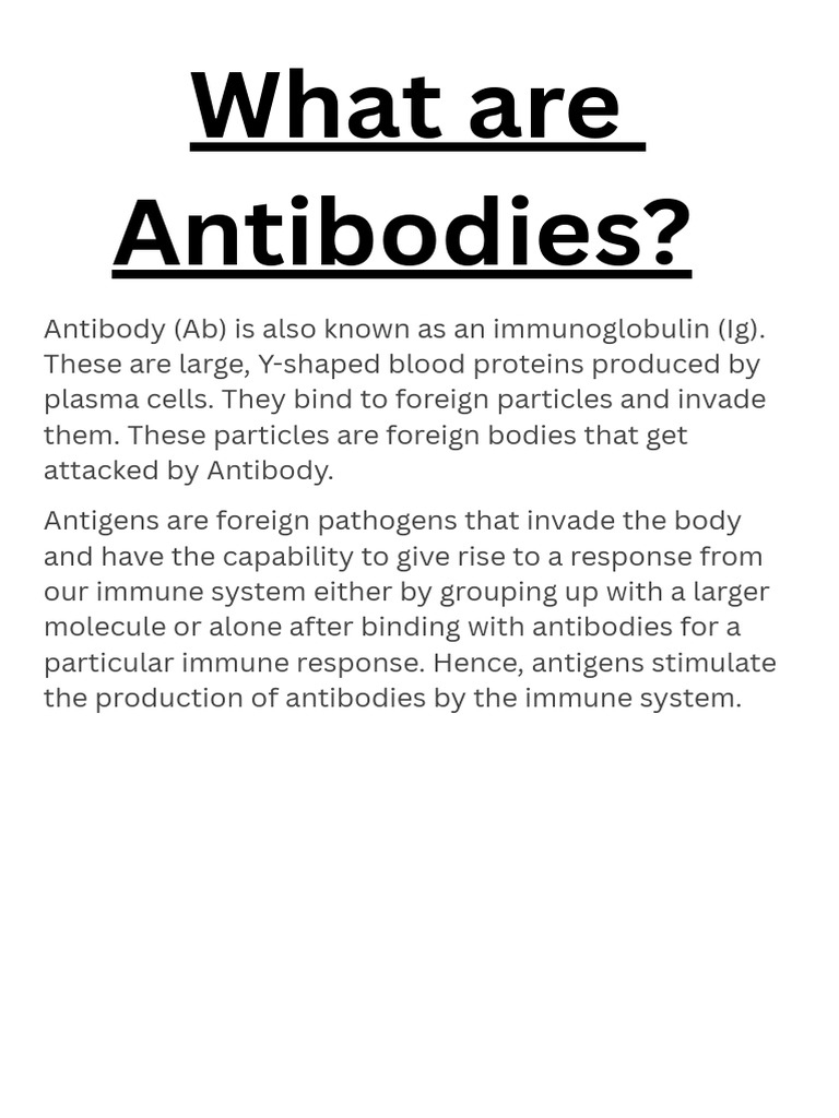 What are Antibodies (9) PDF Antibody Immunoglobulin G