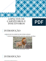 Aspectos de Carnívoros e Insetívoros