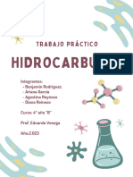 Hidrocarburos (Benjamin R., Ariana G., Agostina R., Diana R.) 4°B