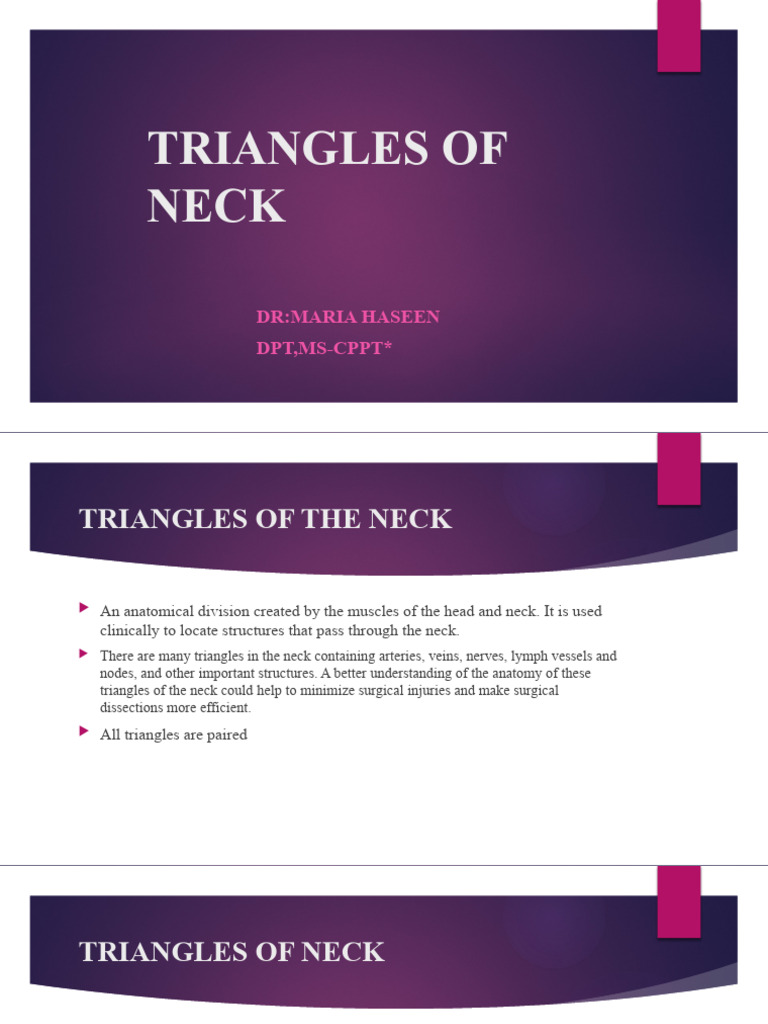 Anatomical Triangles of the Neck | PDF | Neck | Common Carotid Artery