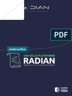 Instructivo RADIAN