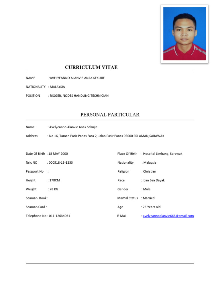 Rigger CV: Avelyeanno Alanvie Anak Sekujie | PDF