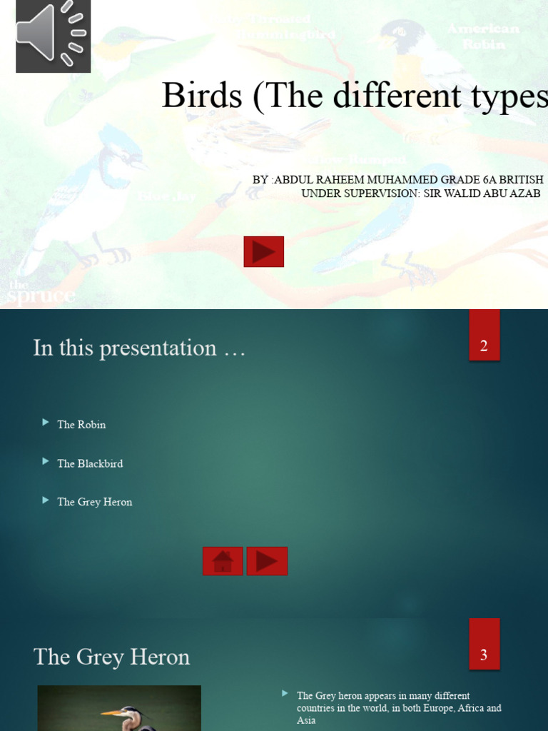 Grade6A British Revision Sheet For Final Exam | PDF