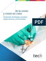 Fisiología de La Visión